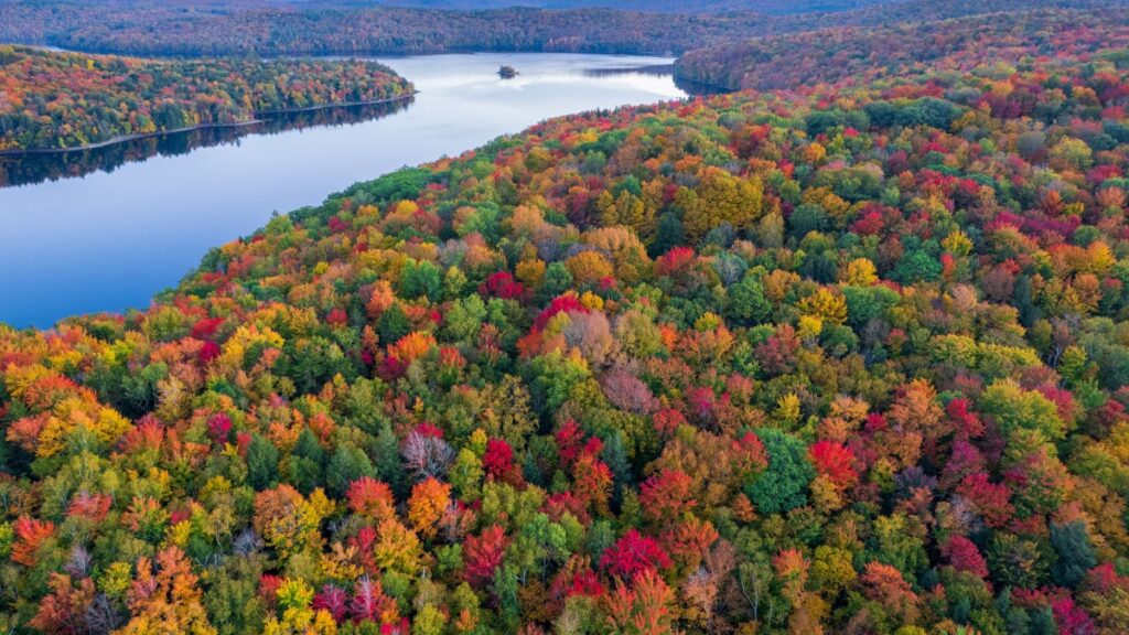 Climate Change is Making It Harder to Predict Fall Colors in National Parks
