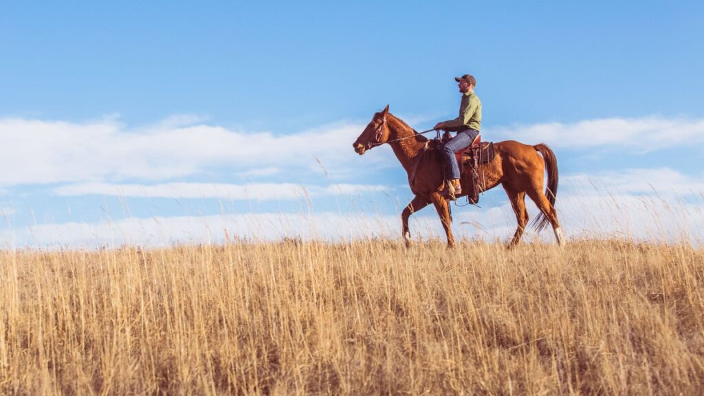 “Deadzoning” in the Wild West: I Tried on Cowboy Life at a Montana Dude Ranch