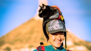 The High-Altitude Journey of the World’s Most Famous Adventure Cat