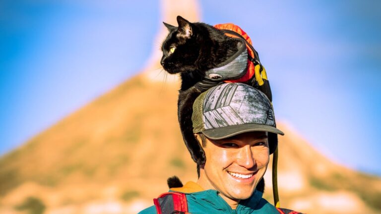 The High-Altitude Journey of the World’s Most Famous Adventure Cat