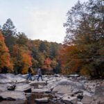 Discover Fall at Its Best in West Virginia’s State Parks