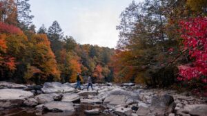 Discover Fall at Its Best in West Virginia’s State Parks