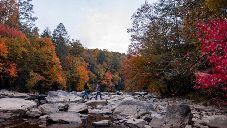 Discover Fall at Its Best in West Virginia’s State Parks