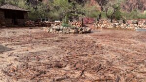 Another Flash Flood Hit the Grand Canyon, Setting Back Recovery From a Deadly Flood Weeks Ago