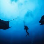 Diving with Giant Manta Rays in Mexico’s Remote Revillagigedo Islands