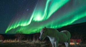 The Aurora Peak Is Over, But You Can Still See the Northern Lights. Here’s How.