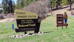 A Federal Judge Just Blocked Trump’s Plan to Overhaul the U.S. Forest Service