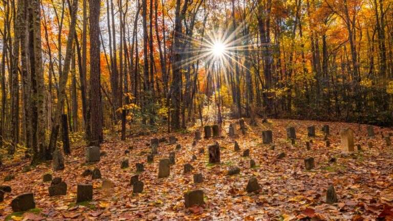Is Cemetery Hiking the New Hot Girl Walk? I Visited a Ghost Town and Graveyard to Find Out.