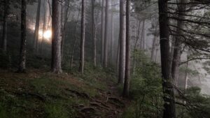Hike and Bike with the Spirits of Pennsylvania’s Ghost Town Trail
