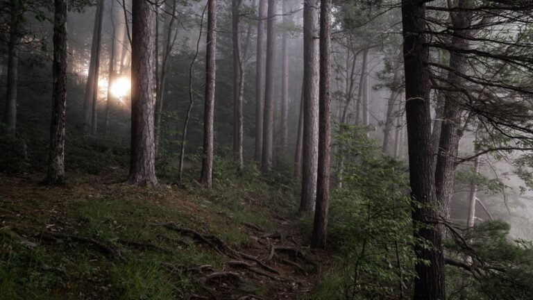 Hike and Bike with the Spirits of Pennsylvania’s Ghost Town Trail
